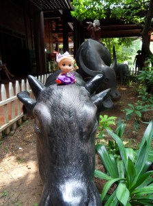 SAMSUNG DIGITAL CAMERA