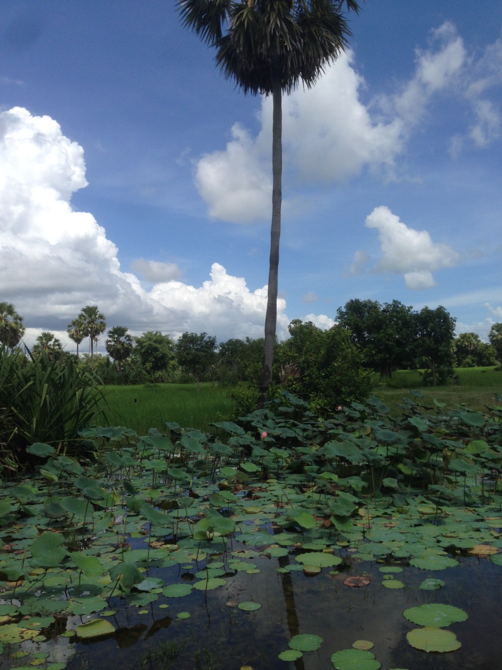 photo-01-11-2016-12-22-11