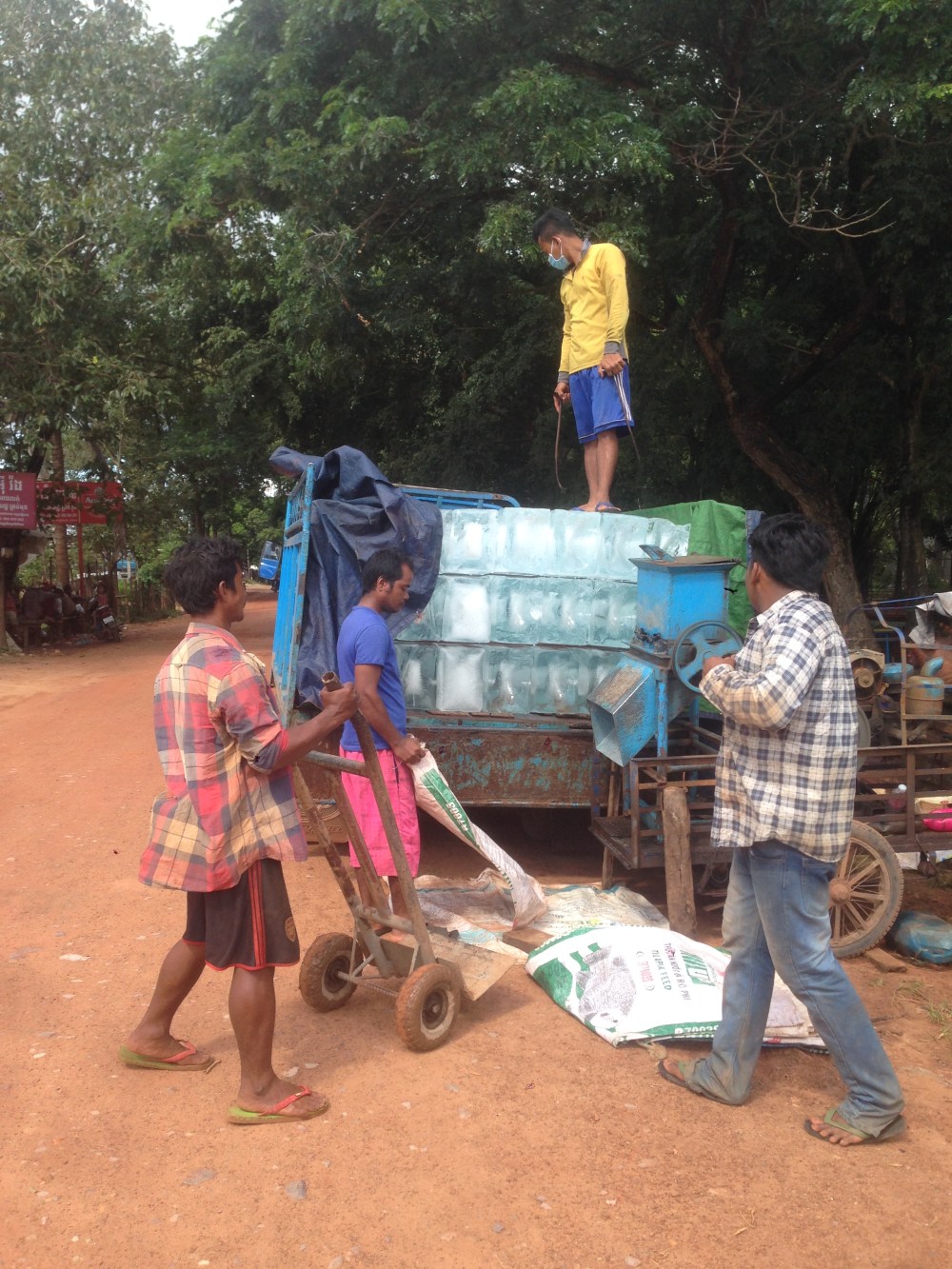 photo-01-11-2016-13-51-50